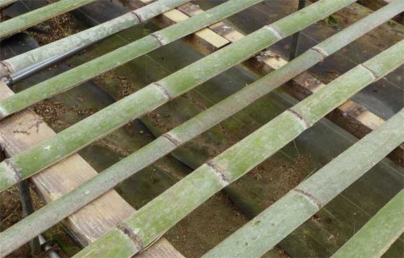 竹の台