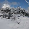 2017年1月下旬の大雪