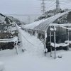 2020の年末の大雪